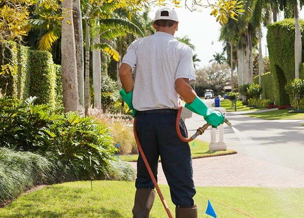About Paris OH Pest Control Pros